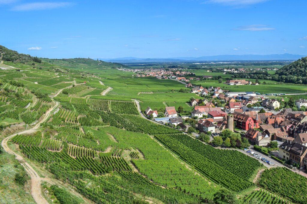 alsace, view, panorama-4646778.jpg
