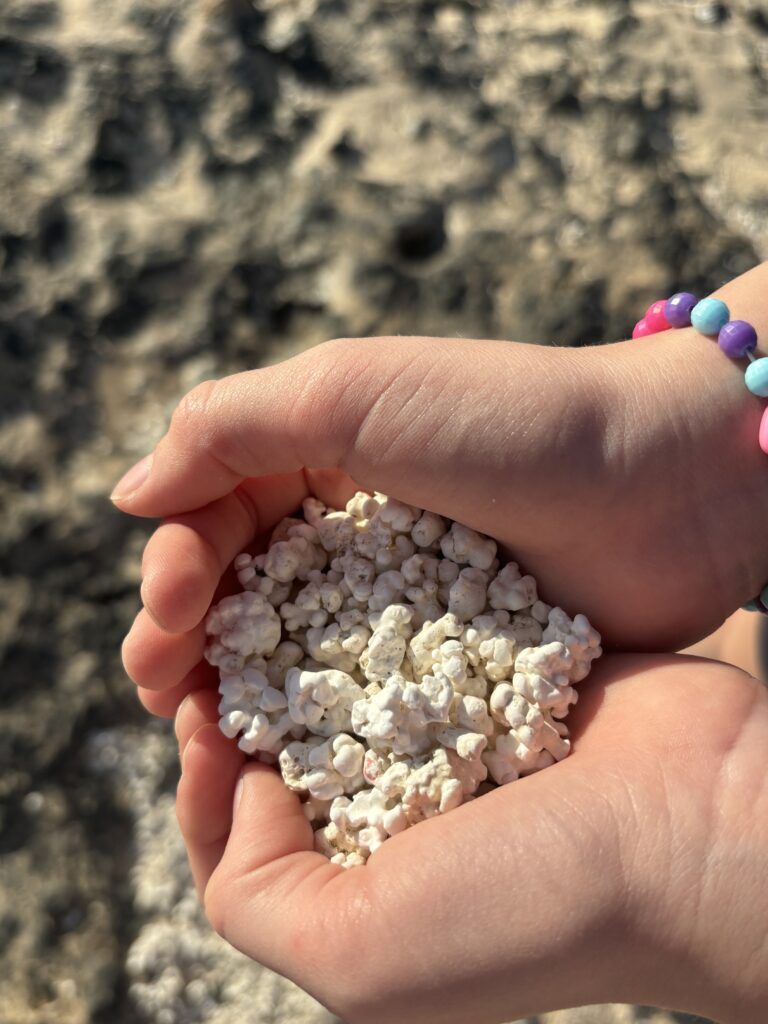 fuerterventura with kids, popcorn beach, Playa El Mejillón