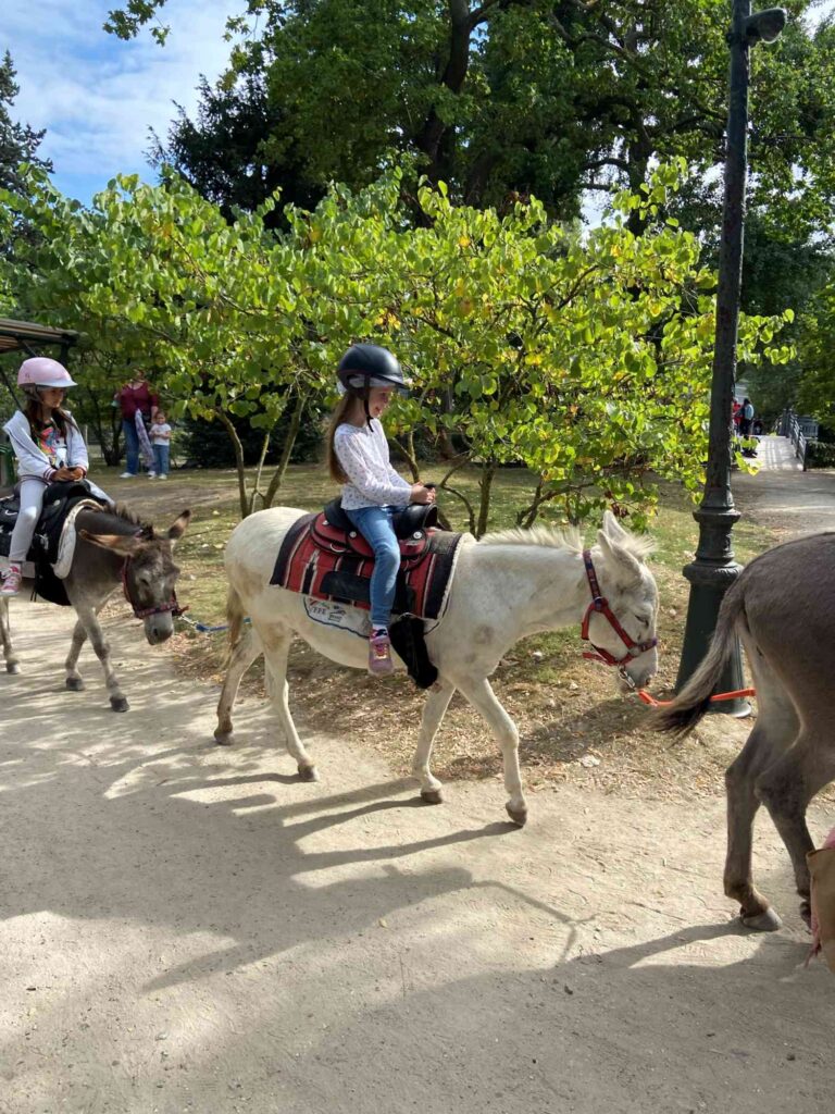 pony ride at jardin d'acclimatation_the knowledge nuggets