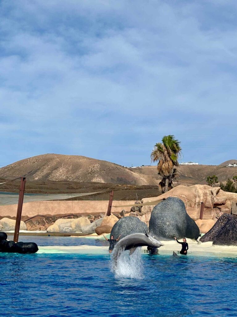 rancho texas dolphins-lanzarote with kids