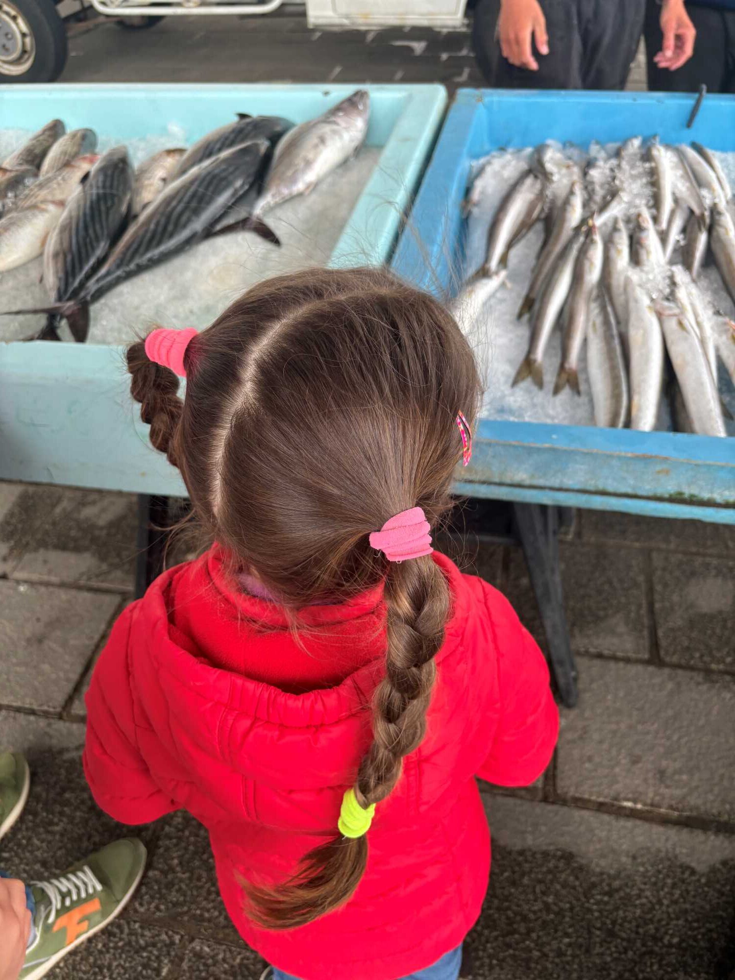 Visiting Marseille With Kids visiting-marseille-with-kids