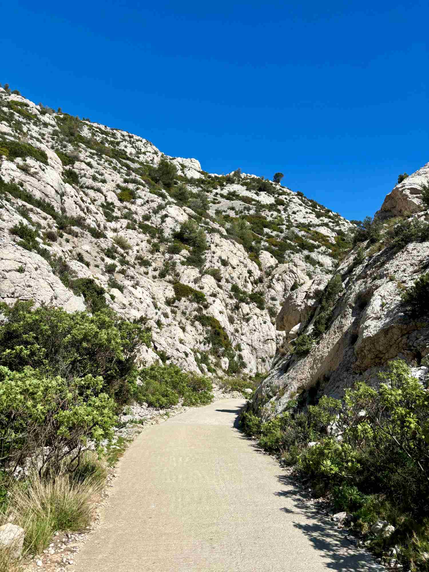Visiting Marseille With Kids visiting-marseille-with-kids