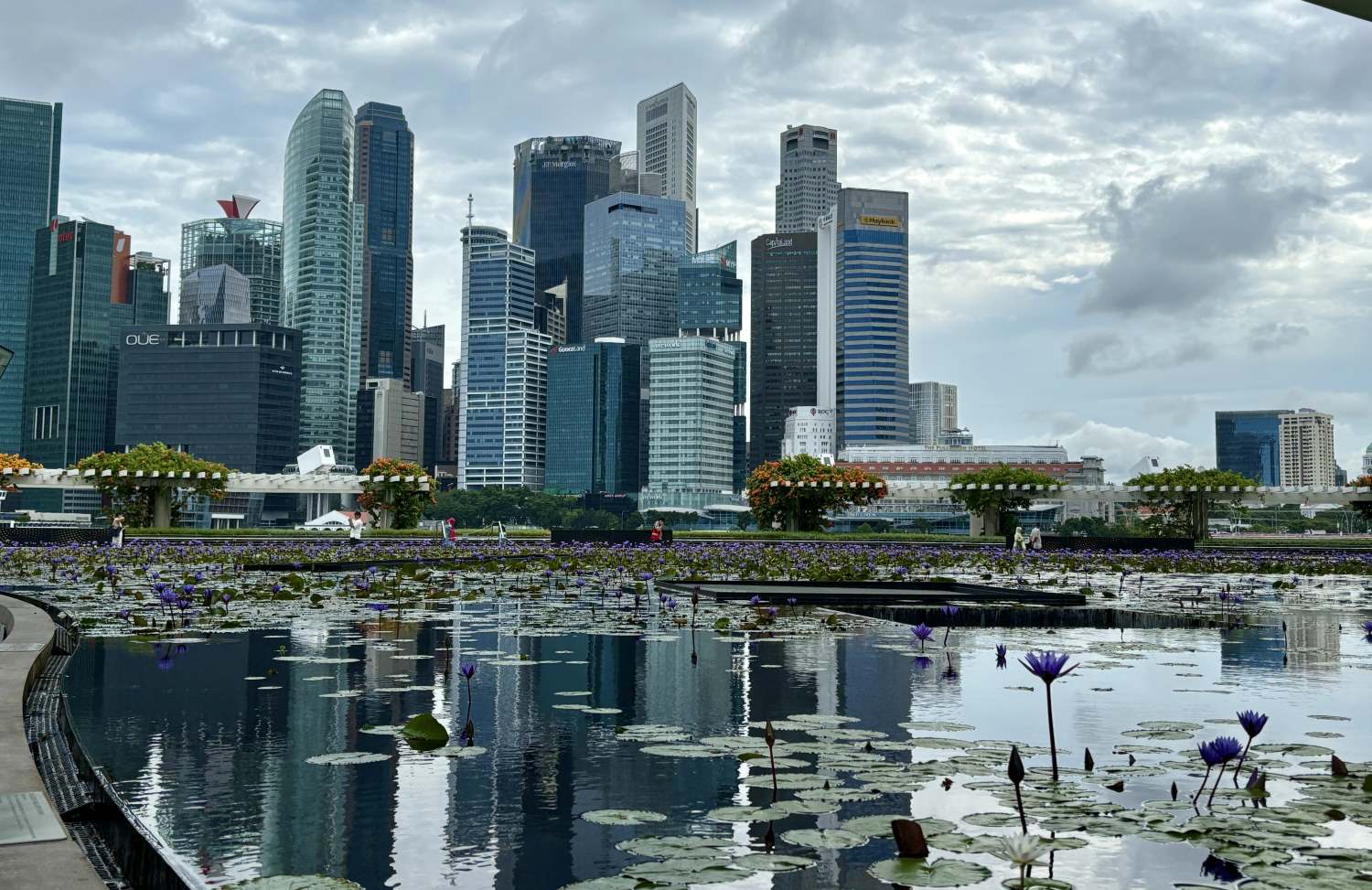 Marina Bay_Singapore with kids_the knowledge nuggets