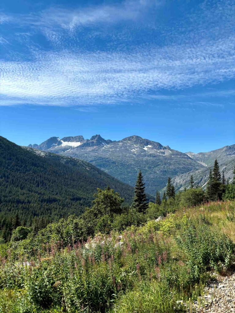 skagway with kids_white pass yukon views_theknowledgenuggets