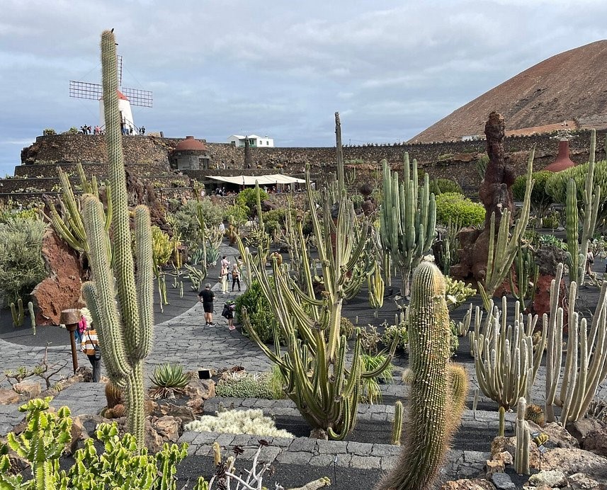 jardin de cactus_lanzarote_the knowledge nuggets