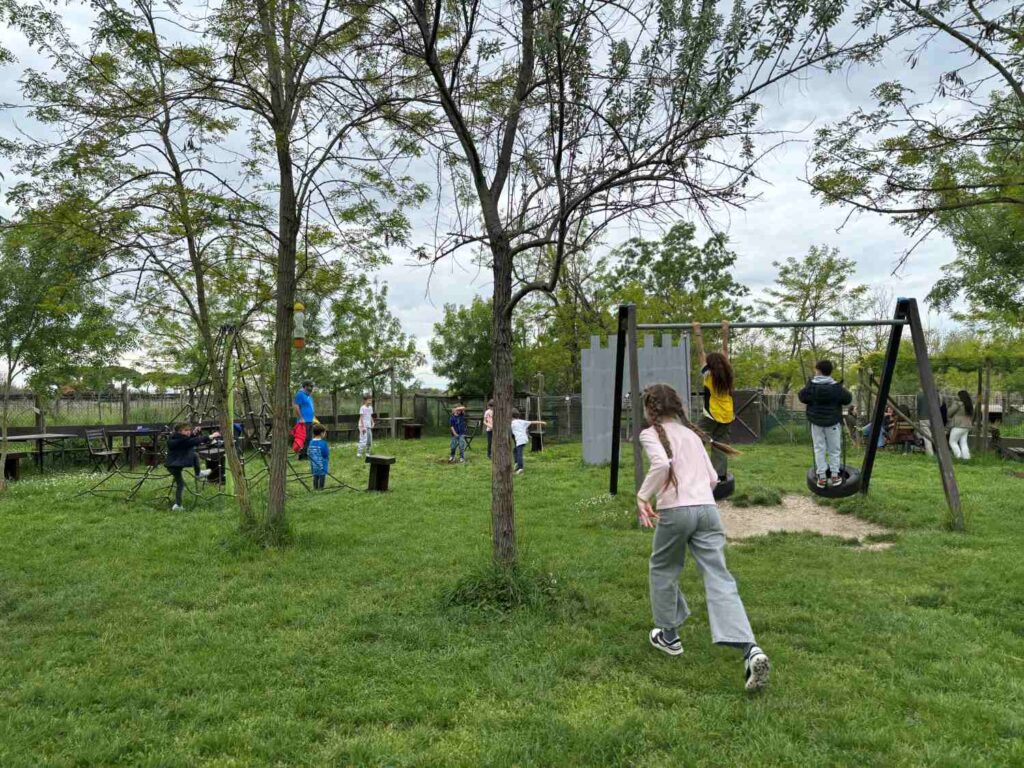 torcello playground-the knowledge nuggets