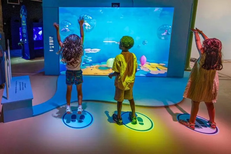 transparency exhibition