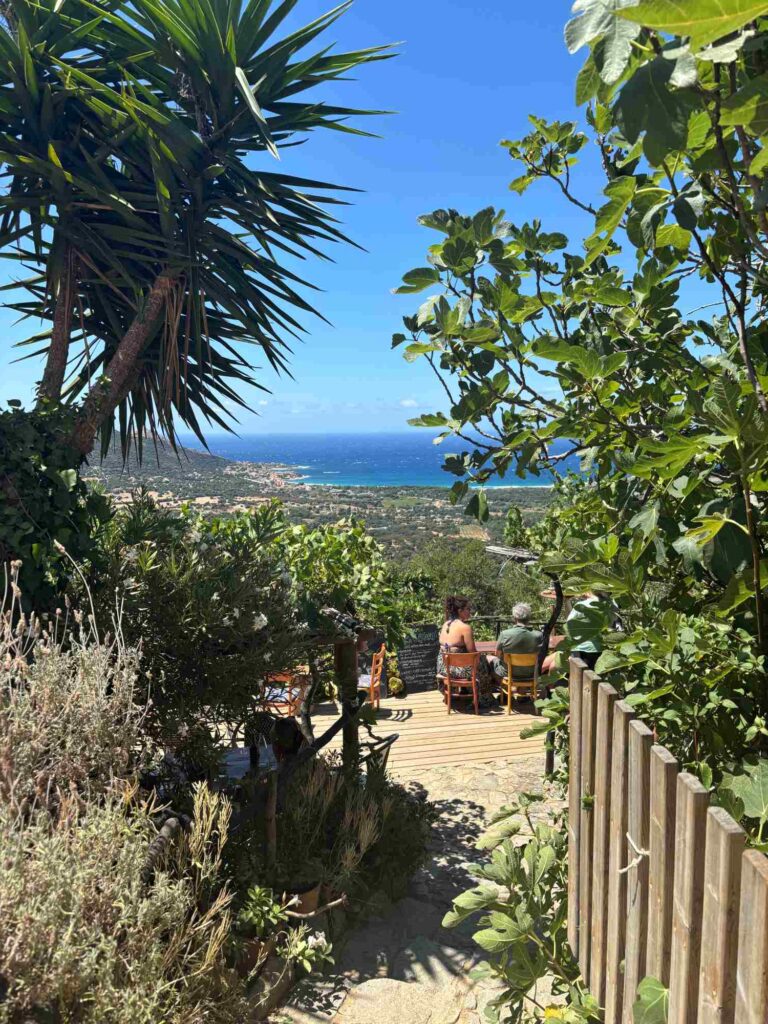 pigna view_corsica_the knowledge nuggets