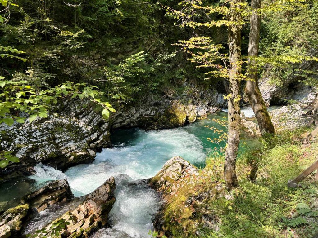 vintgar gorge with kids_the knowledge nuggets