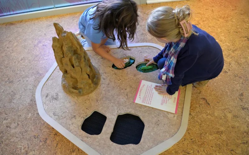 musee home-paris with kids