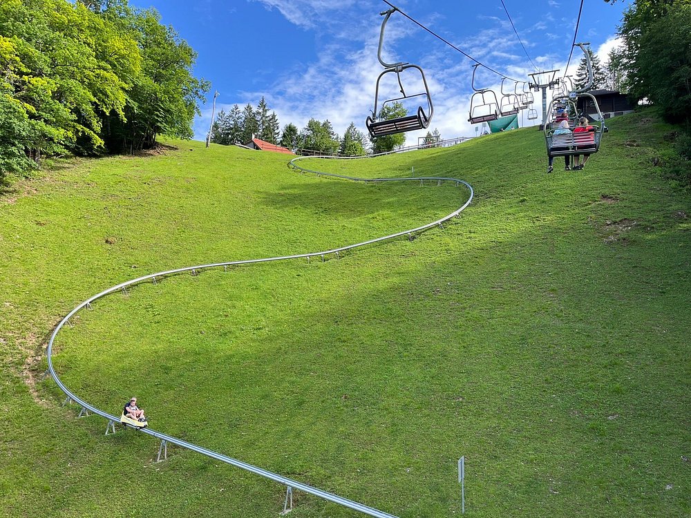 toboggan2