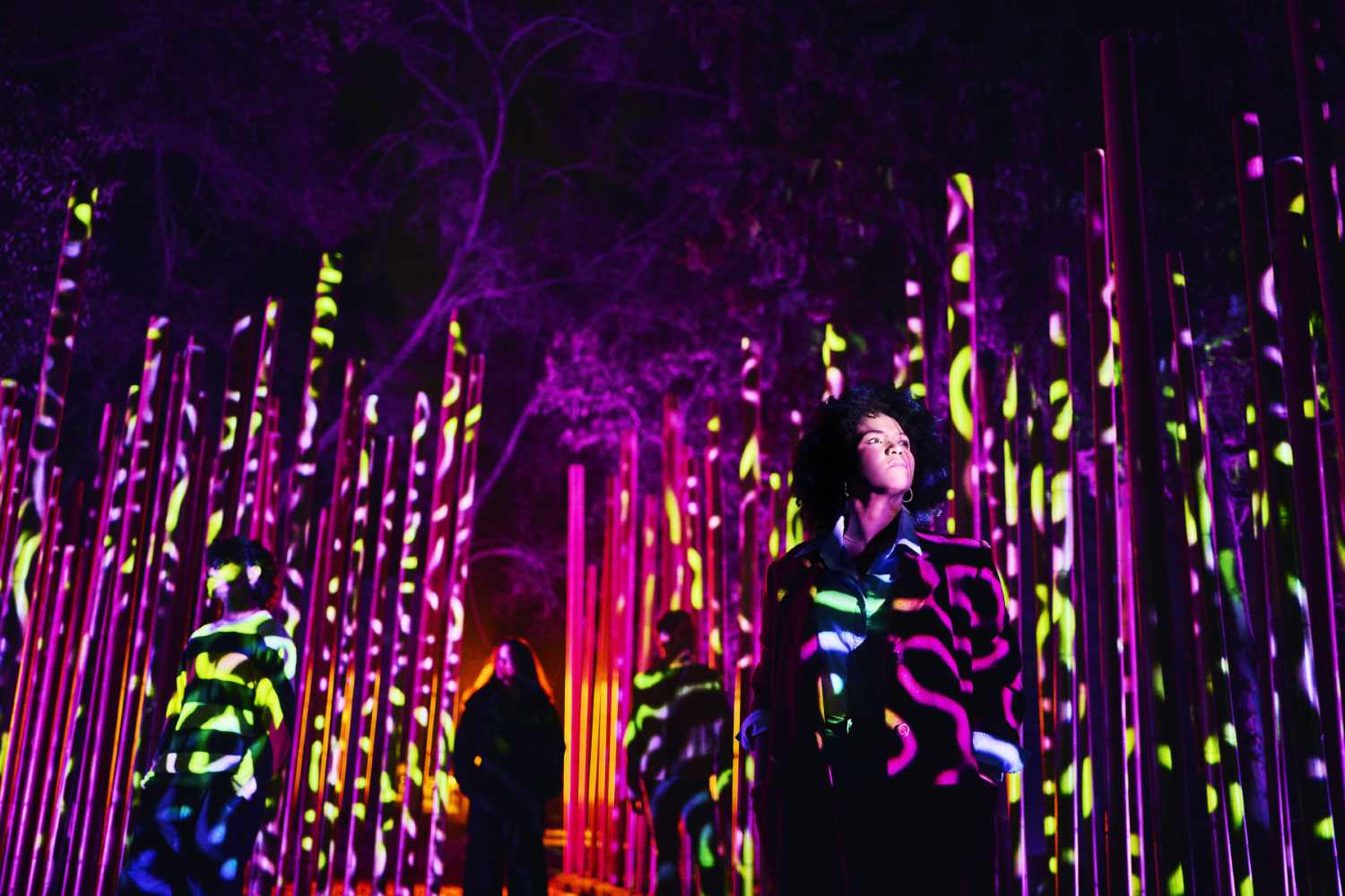 light cycles-paris november with kids-the knowledge nuggets