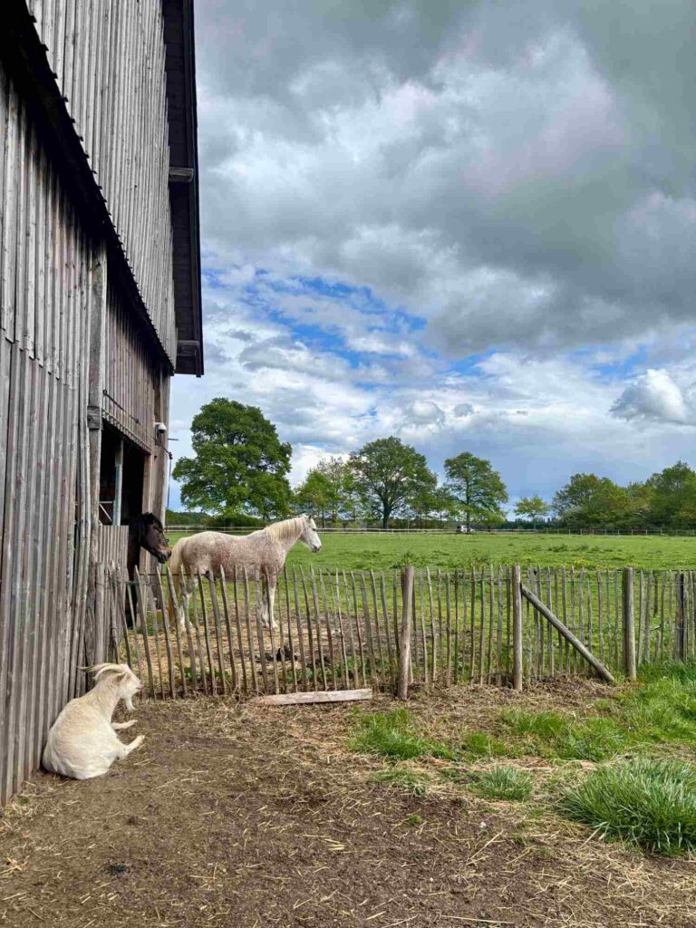 les sources de cheverny-review-farm-the knowledge nuggets