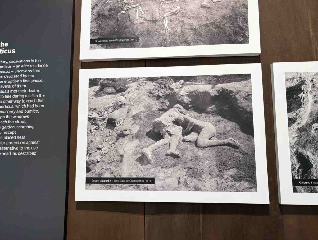pompeii with kids-exhibition-the knowledge nuggets